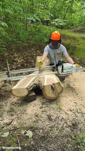 Granberg International Alaskan chainsaw mill