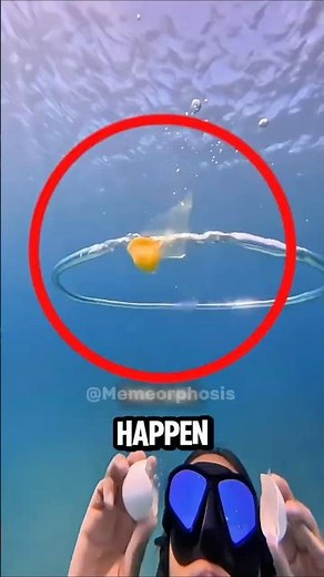If You Ever Crack an Egg Underwater… This Happens 😳🌊