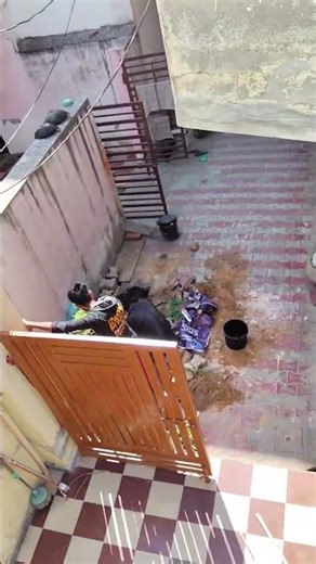 Solar installation with wiring #solarrepair #viralshort #youtubrshorts #electrical