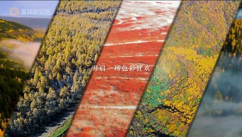 收藏！一个视频赏遍中国最美秋天