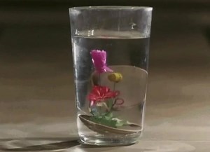 From ‘Pippi Långstrump (Pippi Longstocking)’, 1969 ~ directed by Olle Hellbom 🦪 💐 🙏🏼 @somethingcurated | Upstate Diary