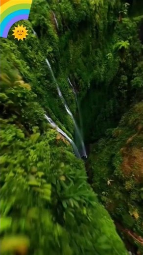 BEAUTIFUL TREE😱|SCENE#tree#greenlife