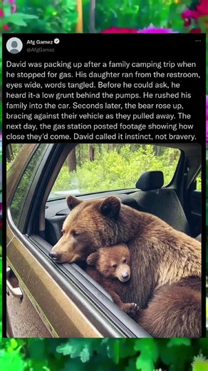 Bear Jumps on Family’s Car at Gas Station! 🐻🚗😱 #Shorts #Bear #Wildlife