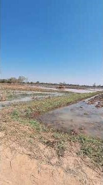 Farming occupation #nature #ชาวนา #ธรรมชาติ