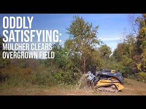 THIS TOOL WILL VAPORIZE A WILD FIELD. HOW TO CLEAR LAND. 😎