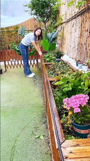 Step by Step Installing a Timer Watering Device for Beautiful Flowers🥰