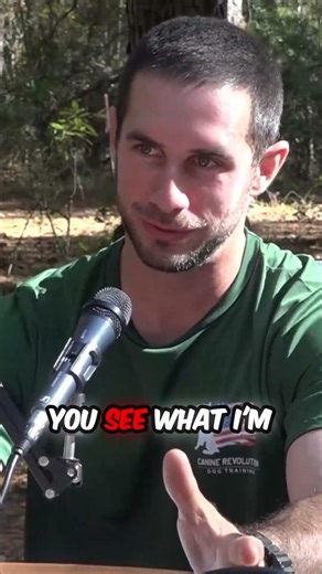 Impulse Control Problems