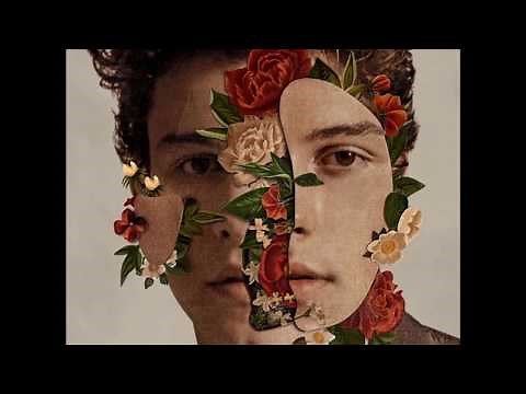 Shawn Mendes - Particular Taste