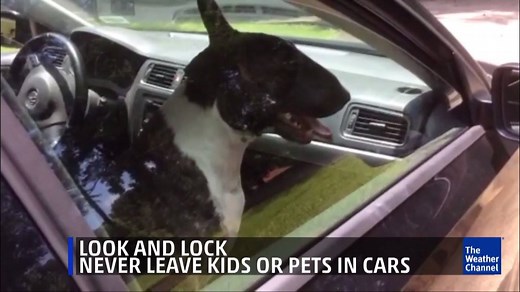 12K views · 92 reactions | Here's what you need to know. | The Weather Channel | Facebook