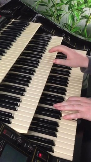 Coconut Dance | Florian Hutter - Wersi Atlantis #shorts #organ #samba