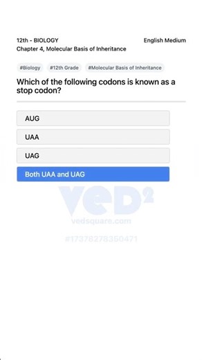 12th Biology Stop Codons Explained Molecular Basis of Inheritance