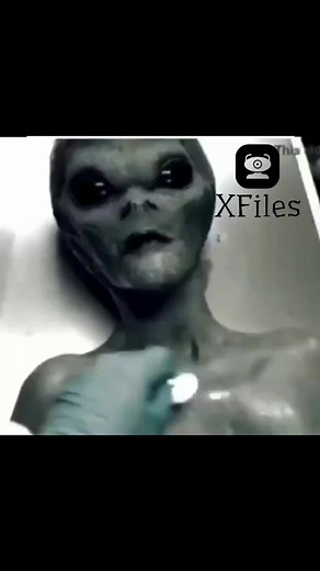 Real Alien captured 👽😱#alienbase #alienunderwater #aliens #extraterrestrial #ancienthistory #ancientcivilizations #ancientaliens #conspiracy #theory #fb #fbconspiracy #fbconspiracies #fbviral #fbrlviralpost #story #storytelling #storytime #fbviralvideopost #fbreels #fbreelsvideo #reelsviralシ #reelsfb #reelsvideo #reelsconspircies #reelsviralvideo #reelsfbviral #viralpage #viralvideo #viralshort #viralfbreel | XFiles