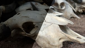 Fix those photos—fast - Photoshop Video Tutorial | LinkedIn Learning, formerly Lynda.com