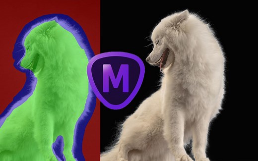 AI智能也可以抠图？ 一键快速抠图软件Topaz Mask AI使用教程