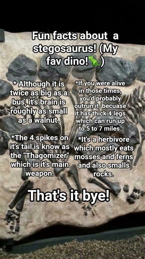 I luv stegosaurus idc if it's basic it's very cool😗