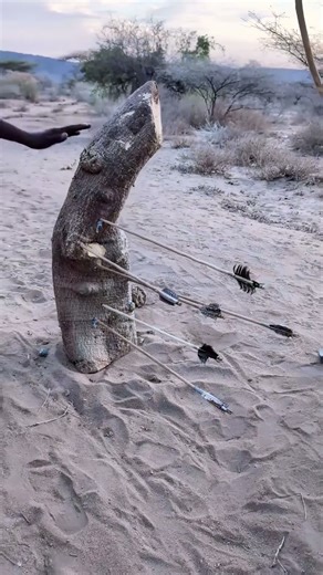 Unmatched Archery Skills from the #youtubeshorts #fyp #foryou #asmr #hunting #africa #africahunting