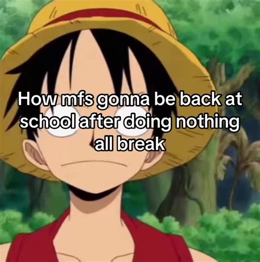 Back to School After Break: Expectations vs Reality