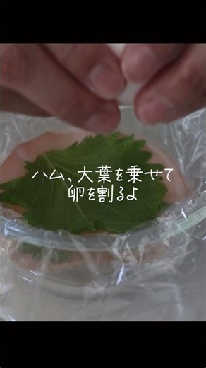 【隙間埋めおかず】レンジで簡単！シソチーズハムエッグ #お弁当 #隙間埋め #簡単レシピ