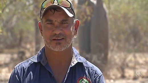 Landline: Problem with cane toads - ABC Education