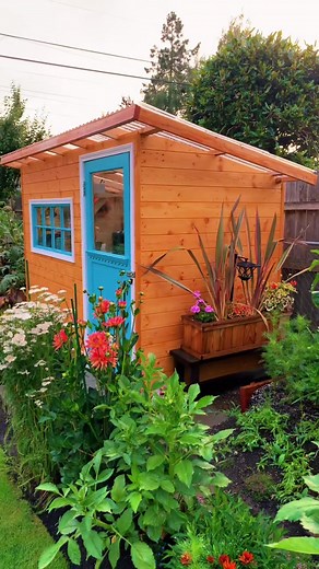 I don’t wanna go! #backyardgarden #yardenpark #oregon #work #paly