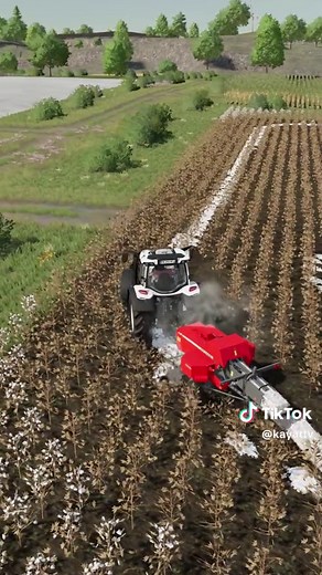 Kaya-T Tv sur TikTok