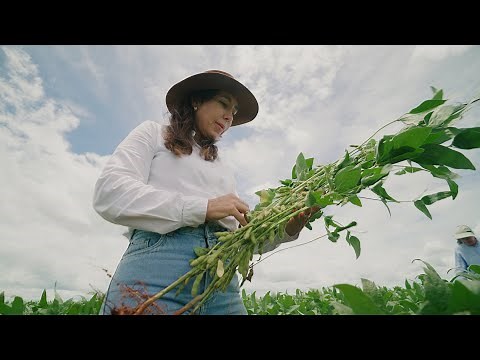 How Conservation Agriculture is Transforming Brazil