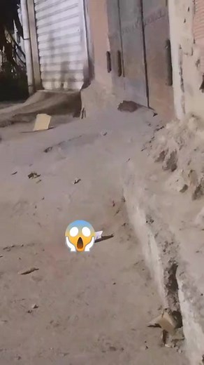 1.7M views · 7K reactions | ، | Le monde des oiseaux- عالم العصافير خنشلة | Facebook