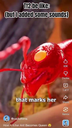 credits to Zack d films for the animation