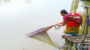 2.8M views · 32K reactions | Girl fishing. | True Fishing BD | Facebook