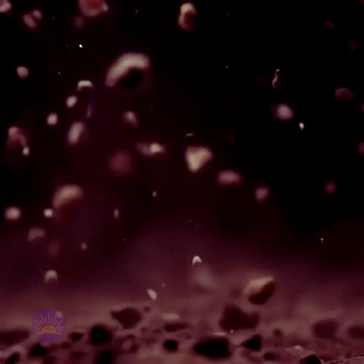 Love Forms Patience_vimeo