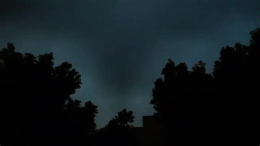 3K views · 19 reactions | Shanghai Daily 上海日报 on Reels | Facebook