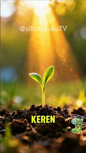 Keajaiban fotosintesis : Tumbuhan adalah mesin tenaga surya