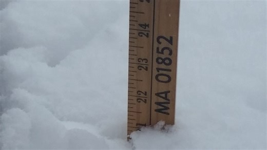 How much snow will the Chicago area get? Latest snow totals amid blizzard warning