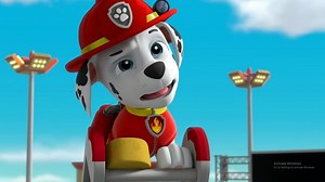 Paw patrol paw patrol youtube