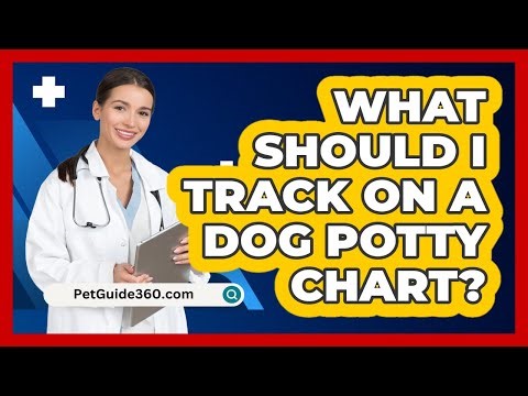 What Should I Track on a Dog Potty Chart?