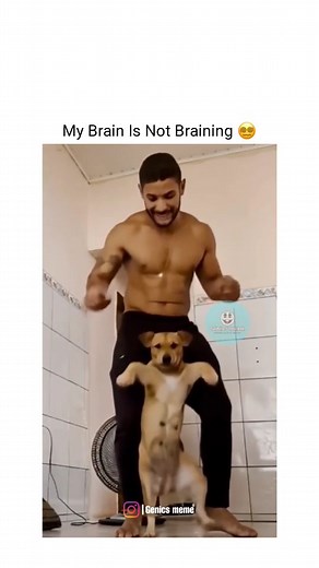 1.4M views · 10K reactions | •√ Wait for it ‍ . . . [ Please DM for credits or removal. All rights reserved to the original creator. We don't own any content shown in the post. ] #genicsmeme | Genics Meme | Facebook