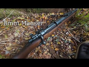 WW2 8mm Mauser | Range Test to Bush Stalk | Close-Range Deer Encounter!!