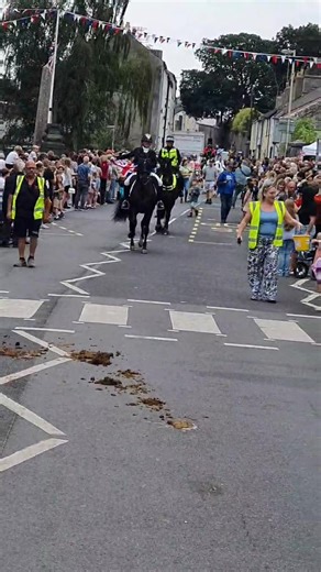 Chudleigh Carnival Highlights Featuring Mr. Perfect