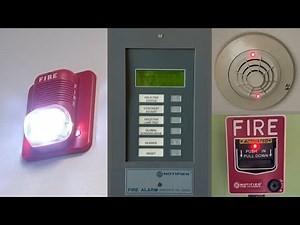 Early 2000s School Fire Alarm Test