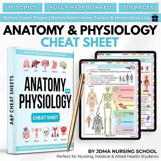 Anatomy & Physiology Cheat Sheet | Anatomy and Physiology Study Guide | Nursing School Notes | Anatomy Revision | Instant Download PDF - Etsy