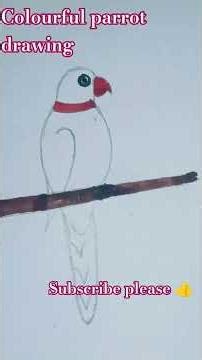 easy colourful parrot drawing step by step