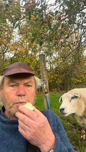 Alfie being naughty | Chris Jagger Music