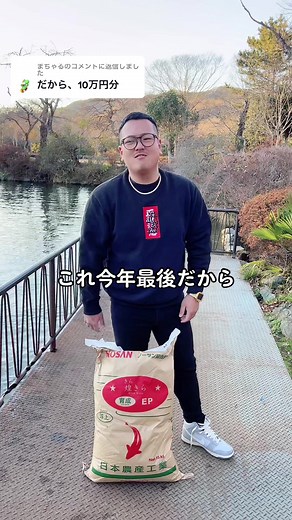 鯉の餌やり：肥満予防のコツとは？