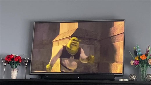 Poor Donkey #shrek#donkey#eddiemurphy#dreamworks#shrek25thanniversary