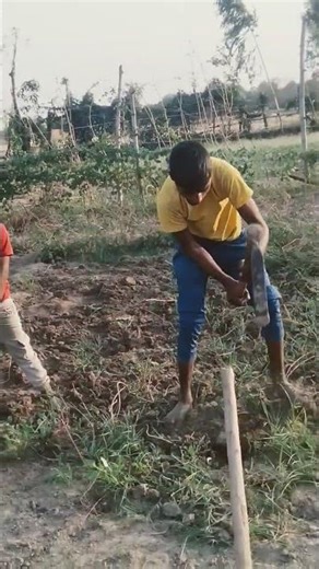 laika ta hai e babu ham kisan ke 😊 mantola bhai #mantolabhai​ #farmer​ #farmlife​ #bhojpurisong​