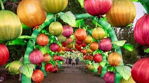 Denver park transforms into glowing landscape
