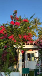 Farmer’s Villa ng Camp Burabod Farmstead😍 | Pobreng Maestra