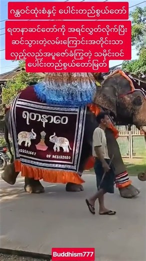 #ရတနာဆင်ကြွတဲ့လမ်းအတိုင်းစွယ်တော်အပူဇော်ခံမည်#youtubeshorts#shortvideo#shorts#short#love#song#music