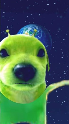 alien dog#dogshorts #youtubeshorts