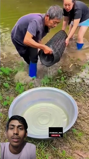 Rural outdoor fishing #fish trap #shrimp trap #outdoor #rurallife #outdoorfishing